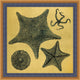Gold Leaf Starfish 2, Giclee Reproduction Artwork
