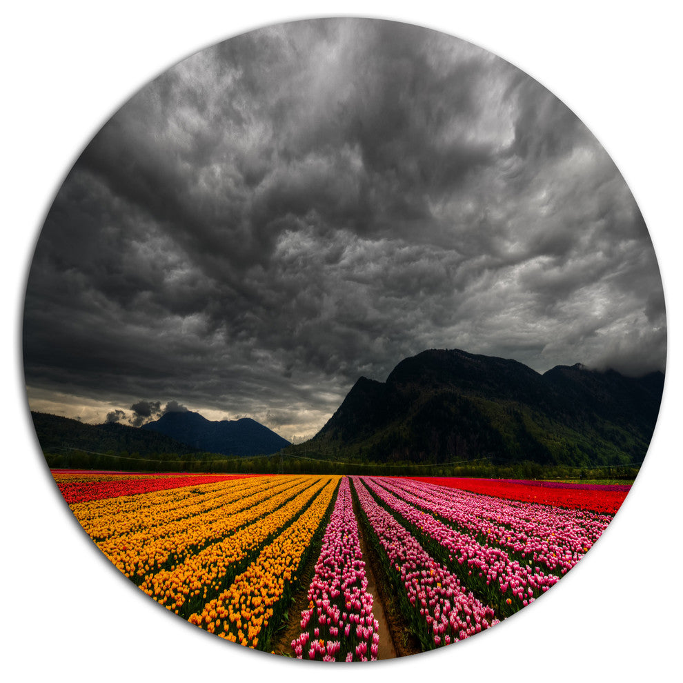 Parallel Rows Of Colorful Tulips, Landscape Disc Metal Wall Art, 11"