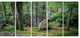 "Dense Moss Forest in Green" Landscape Art Print Canvas, 5 Panels, 60"x28"