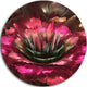 Perfect Fractal Flower In Bright Red, Floral Disc Metal Wall Art, 36"