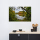 Lost in Autumn Color Landscape Photo, Rural Unframed Wall Art Print, 24" X 36"