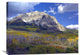 "Fall Colors At Gunnison National Forest, Colorado" Artwork, 32" x 24"