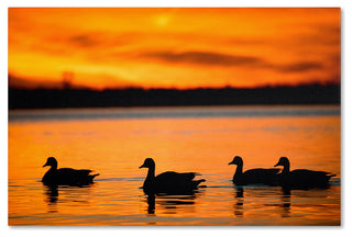 'Jamaica Bay Sunset - NYC II' Canvas Art by David Ayash