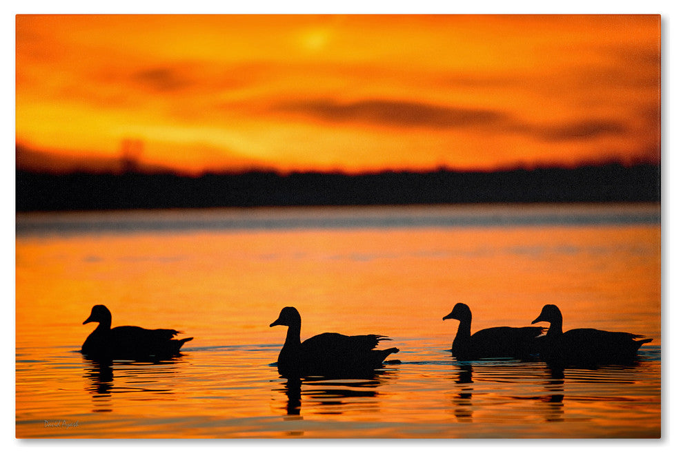 'Jamaica Bay Sunset - NYC II' Canvas Art by David Ayash