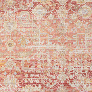 Ceniscia Tatum Vintage Polyester Area Rug, Salmon, 2'6"x8'