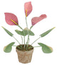 19" Pink and Green Artificial Decorative Calla Lily Plant