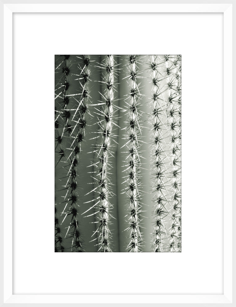 Silver Spike Small 2, Giclee Reproduction Artwork