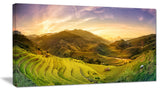 Rice Fields on Terraced Panorama, Landscape Canvas Art Print, 40x20