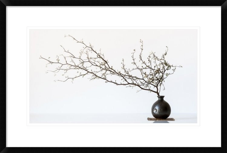 "Vase And Branch" Framed Digital Print by Prbimages, 30"x20"
