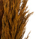 Vickerman all Natural Plume Reed Bundle, Preserved, Autumn