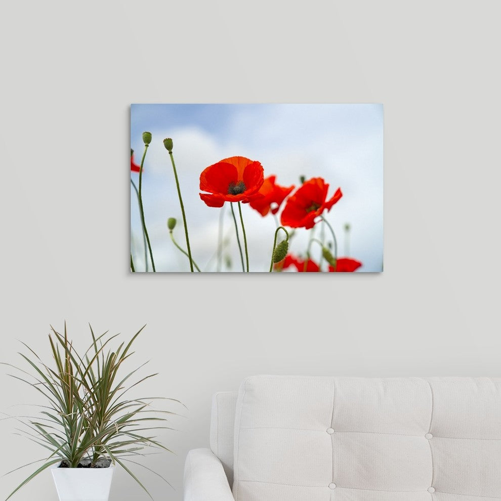"Simplicity" Wrapped Canvas Art Print, 24"x16"x1.5"