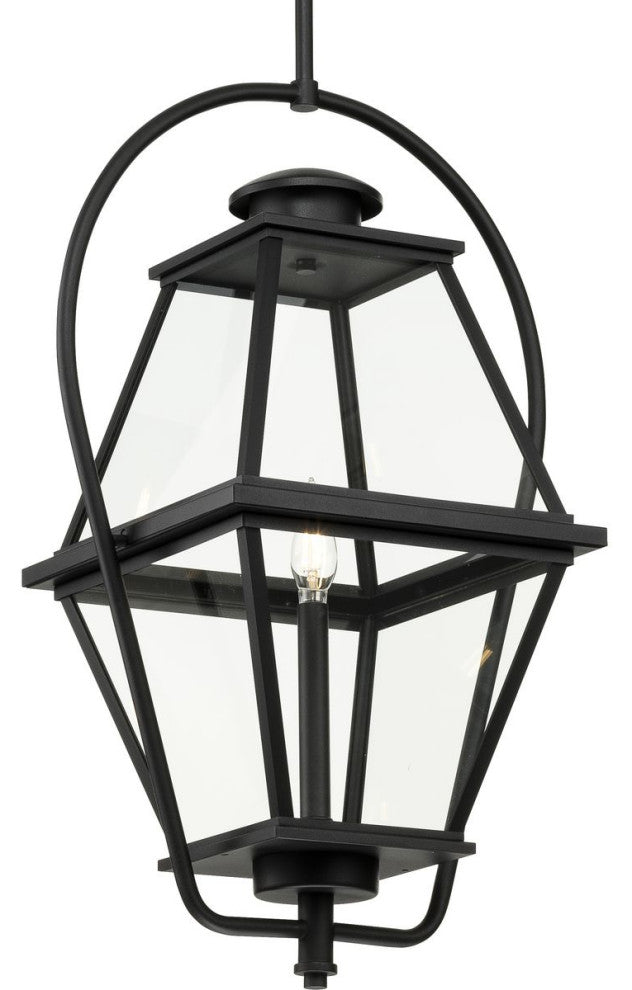 Bradshaw Collection 1-Light Textured Black Clear Glass Outdoor Hanging Lantern