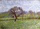 Camille Pissarro An Apple Tree at Eragny, Gallery Wrapped Canvas, 18"x27"