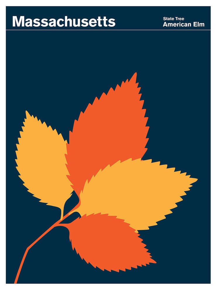 Massachusetts American Elm Print