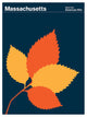 Massachusetts American Elm Print