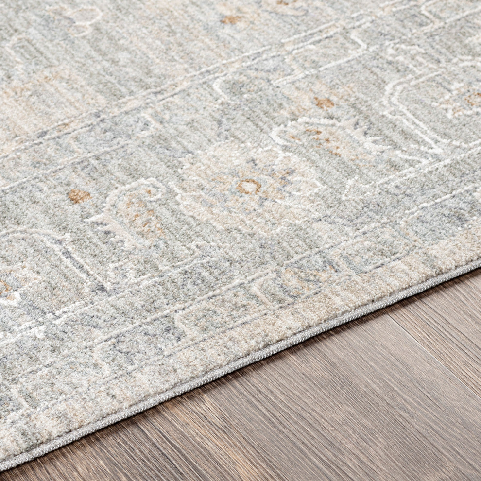 Avant Garde AVT-2302 Traditional Light Blue 6'7"x9'6" Area Rug