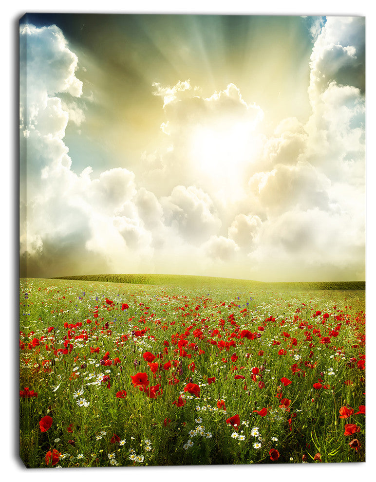 Dramatic Sky over Poppy Field, Extra Large Landscape Canvas Art, 12"x20"