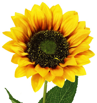 Set of 12 Artificial Sunflower Stem Spray 19"