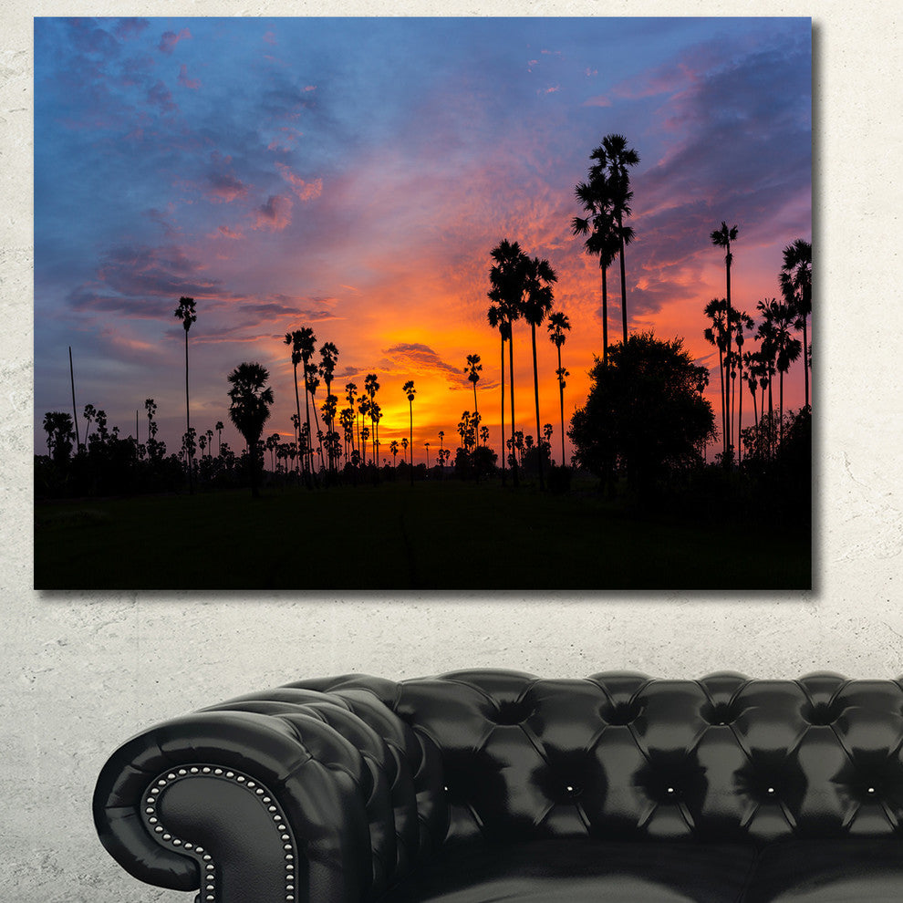 Sugar Palm Tree Silhouette, Landscape Canvas Art Print, 60x40