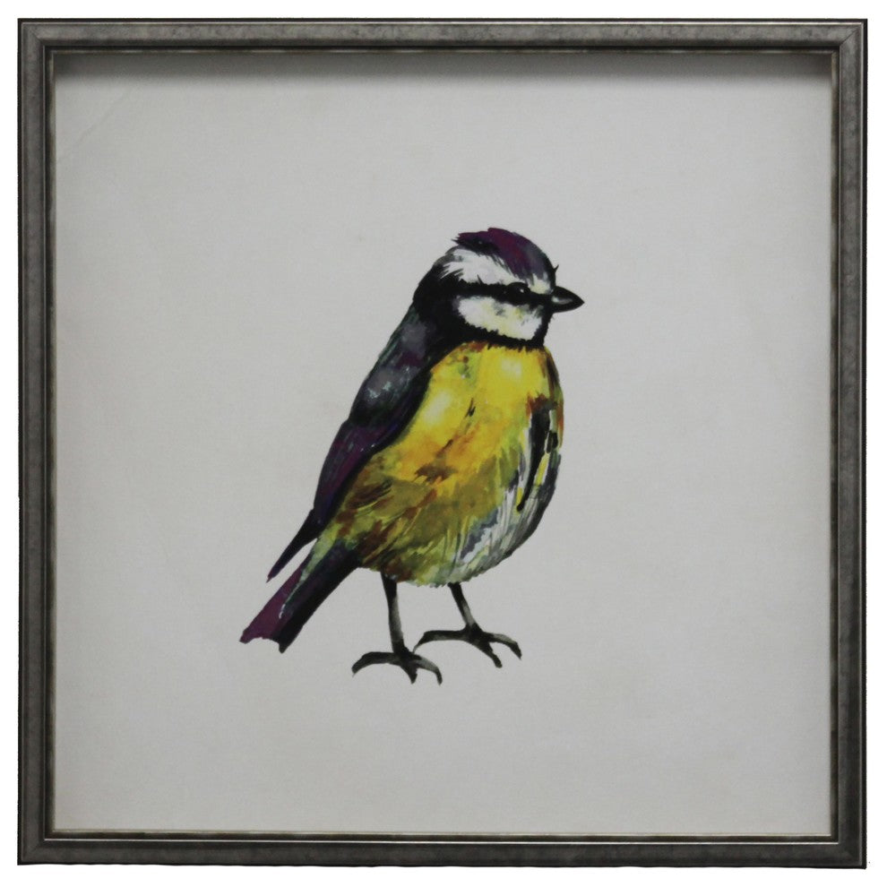Bright Yellow Bird With Purple And Gray Head, Silver And Black Shadowbox