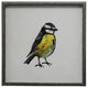 Bright Yellow Bird With Purple And Gray Head, Silver And Black Shadowbox
