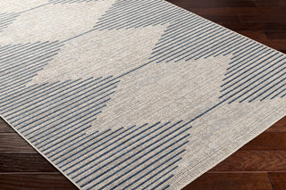 Surya Eagean EAG-2434 Indoor/Outdoor Area Rug