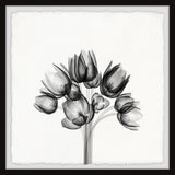 "Tulip Bundle" Framed Painting Print, 18x18