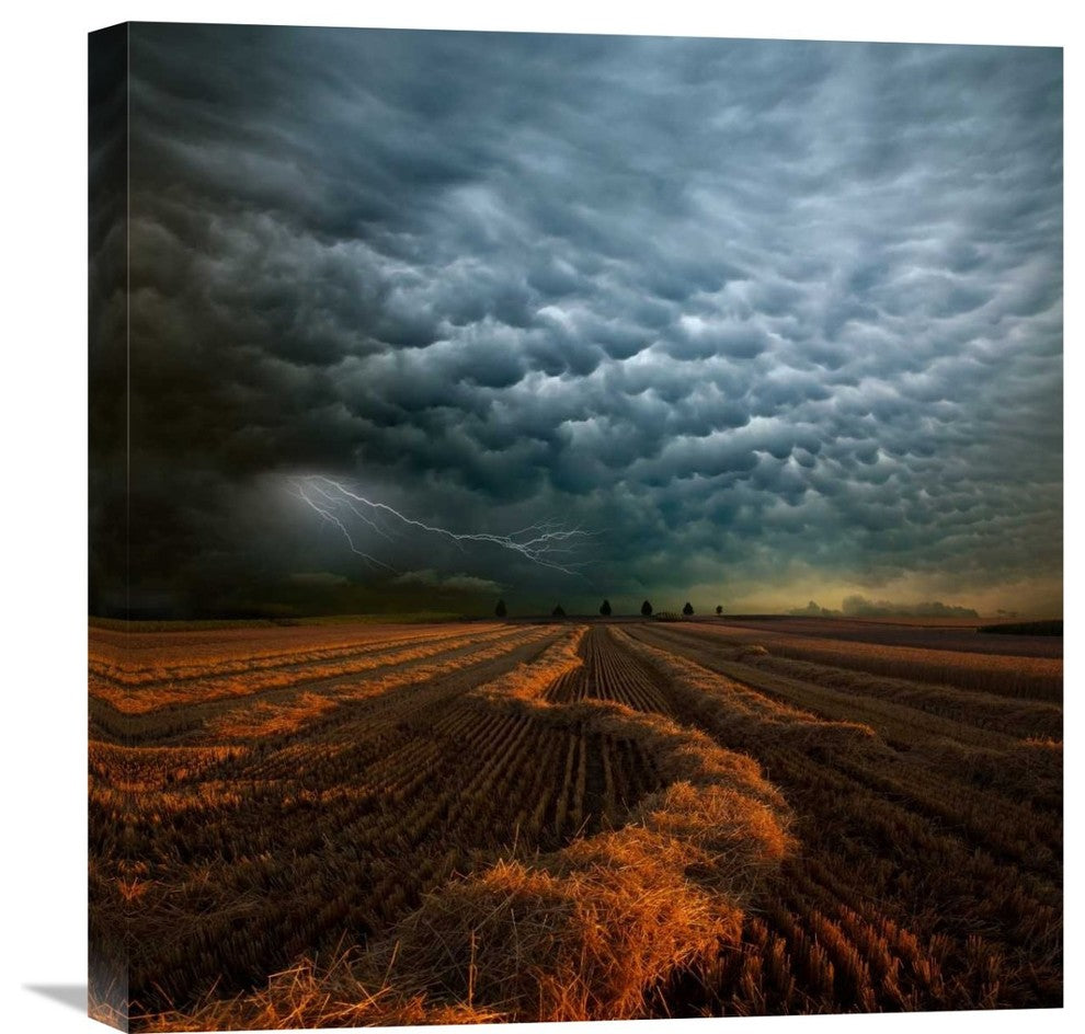 "Mammatus" Stretched Canvas Giclee by Franz Schumacher, 21x22"