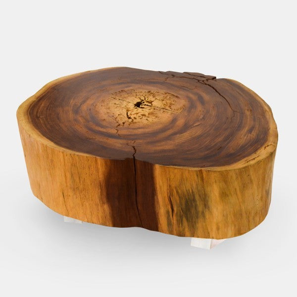 Vinhatico Small Crosscut Coffee Table and Acrylic Legs