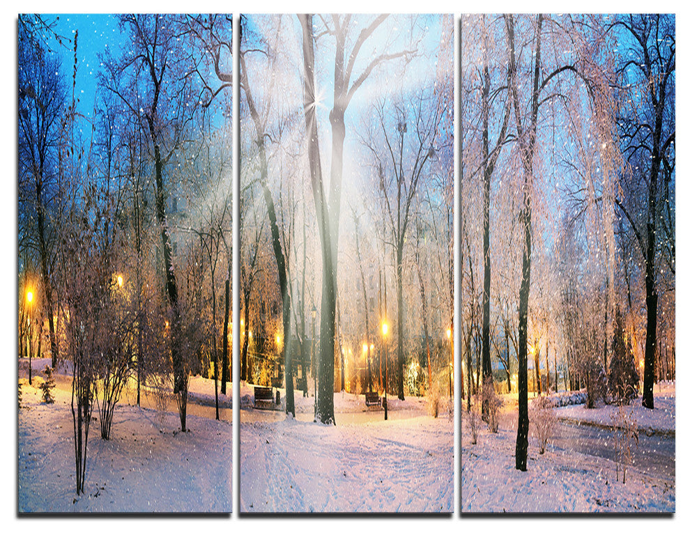 "Winter at Mariinsky Gardens" Photo Metal Wall Art, 3 Panels, 36"x28"