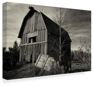 "Old Barn Autumn" by Anthony Paladino, Canvas Art