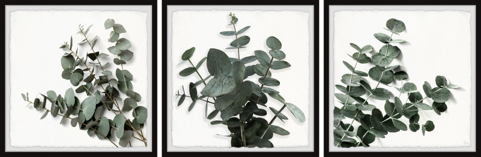 Every Leaf Is a Flower Triptych, 3-Piece Set, 32x32 Panels