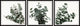 Every Leaf Is a Flower Triptych, 3-Piece Set, 32x32 Panels