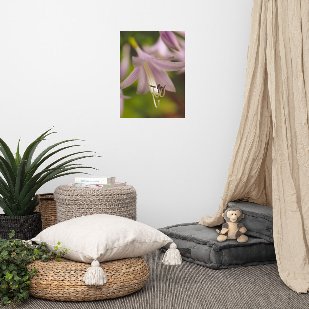 Close-up Hosta Bloom Nature Photography, Floral Unframed Wall Art Print, 18" X 24"