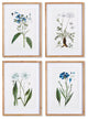 Mountain Botanical Prints, Set of 4