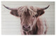 Adorable Brown Highland Cow Wood Plank Wall Art