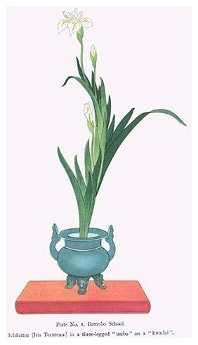 Ichihatsu (Iris Tectorum) in Three Legged Isubo- Fine Art Giclee Print 24" x 36"