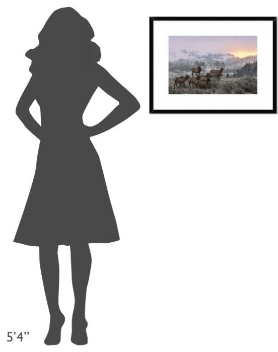 "First Light" Framed Digital Print by Nick Kalathas, 26"x20"