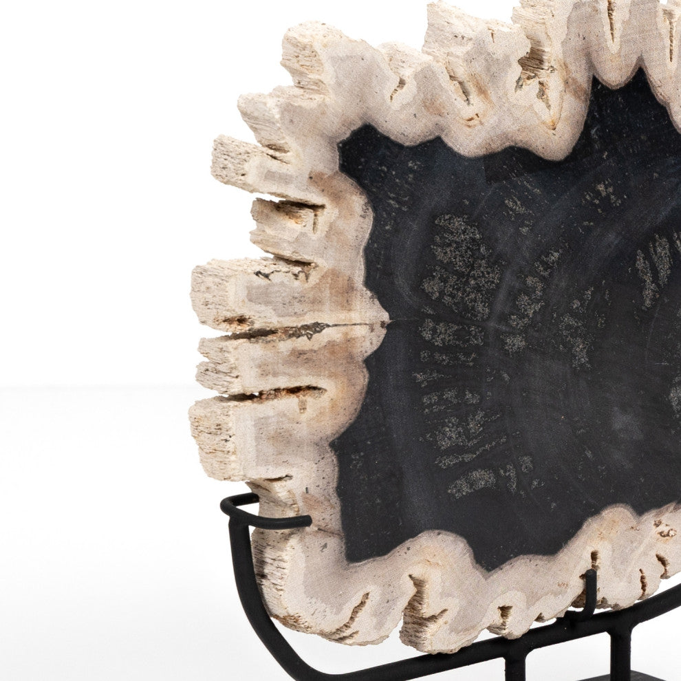 Petrified Wood Sculpture-Dark