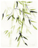 "Bamboo Leaves V Green" Digital Paper Print by Danhui Nai, 30"x37"