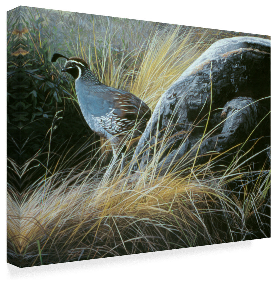 Ron Parker 'California Quail' Canvas Art, 32"x24"
