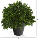 10" Boxwood Topiary Artificial Plant UV Resistant, Indoor/Outdoor