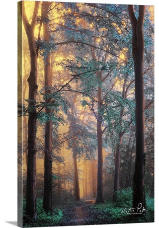 "Wonderland" Wrapped Canvas Art Print, 24"x36"x1.5"