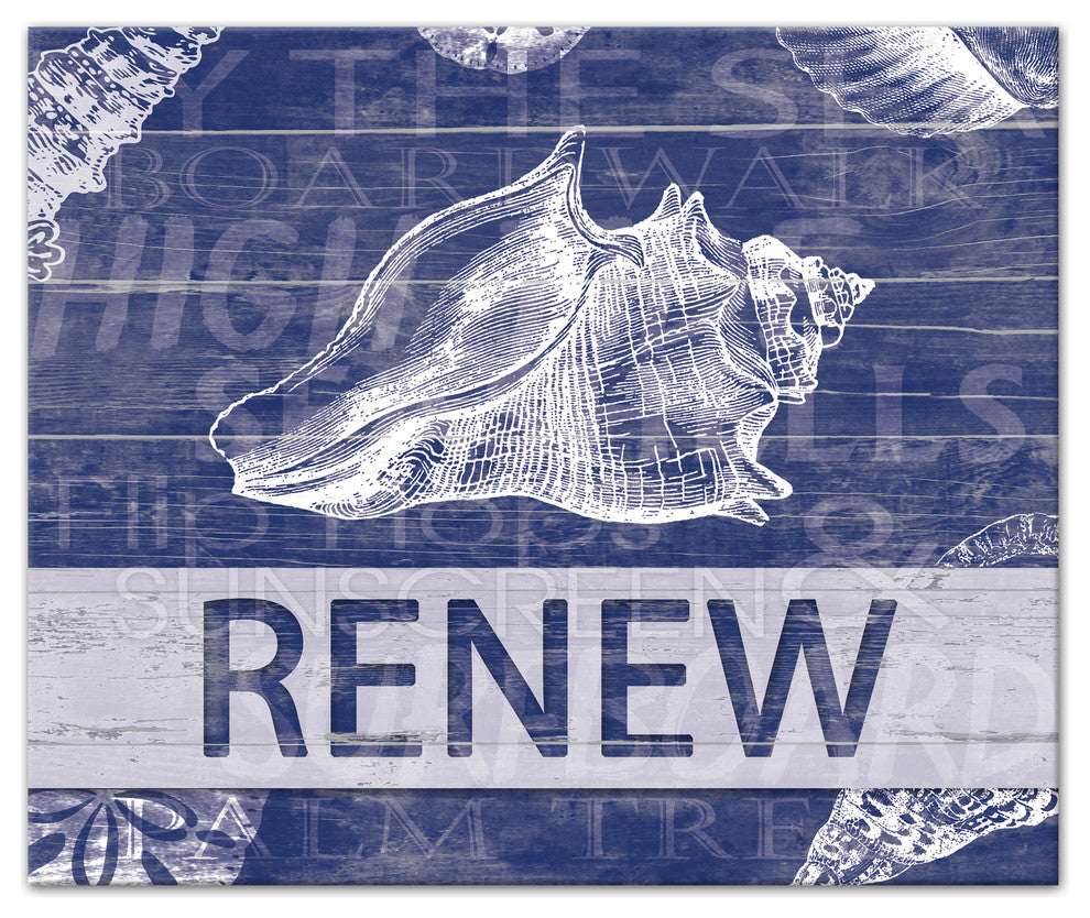 Renew Shell 20x24 Canvas Wall Art
