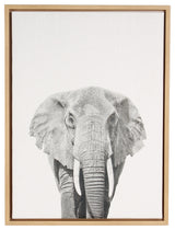 Sylvie Elephant Natural Framed Canvas Wall Art by Simon Te Tai
