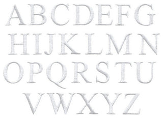 Standard Size Monogram Aqua Chaise Lounge Cover, 32"x102", M