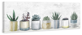 "Ultimate Succulents" Painting Print on Wrapped Canvas