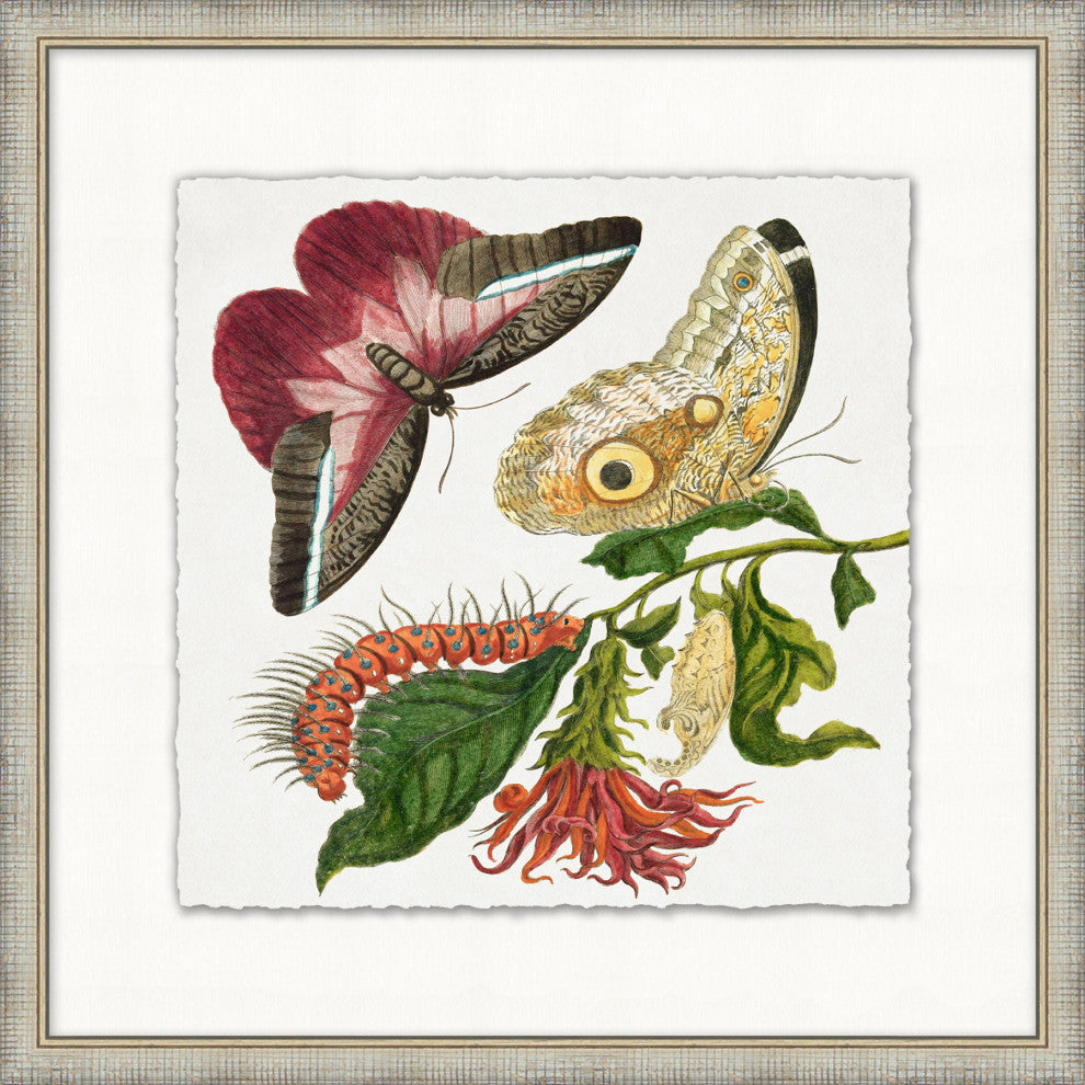 Garden Butterflies 6, Giclee Reproduction Artwork