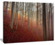 Foggy Day in Enchanted Forest, Landscape Canvas Art Print, 40"x30"