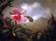 Martin Johnson Heade Orchid and Hummingbird Wall Decal